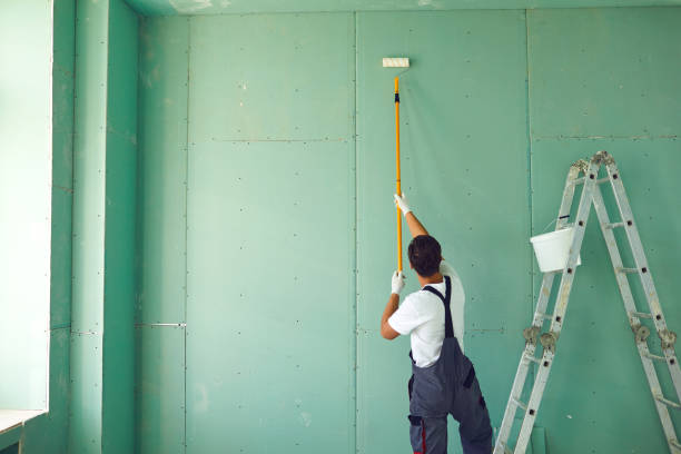  Imperial Beach, CA Mold Removal Pros
