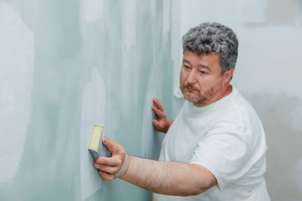 Best Post-Construction Mold Inspection  in Imperial Beach, CA