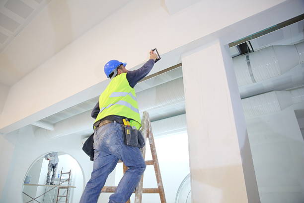 Best Mold Prevention Services  in Imperial Beach, CA